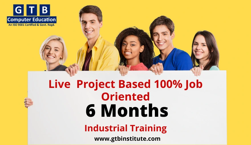 6 months industrial training